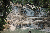 Dunns River Falls>This is the biggest most popular part of the falls